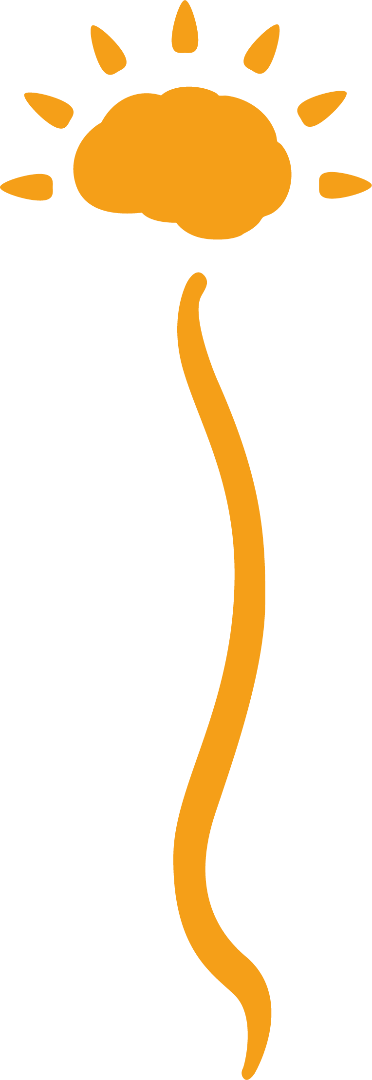 Logo LC Physio
